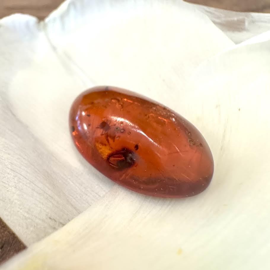 Amber with Inclusions
