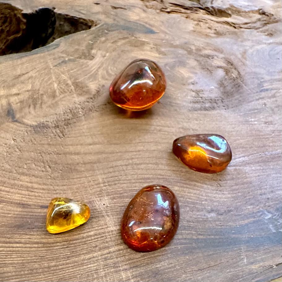 Amber with Inclusions