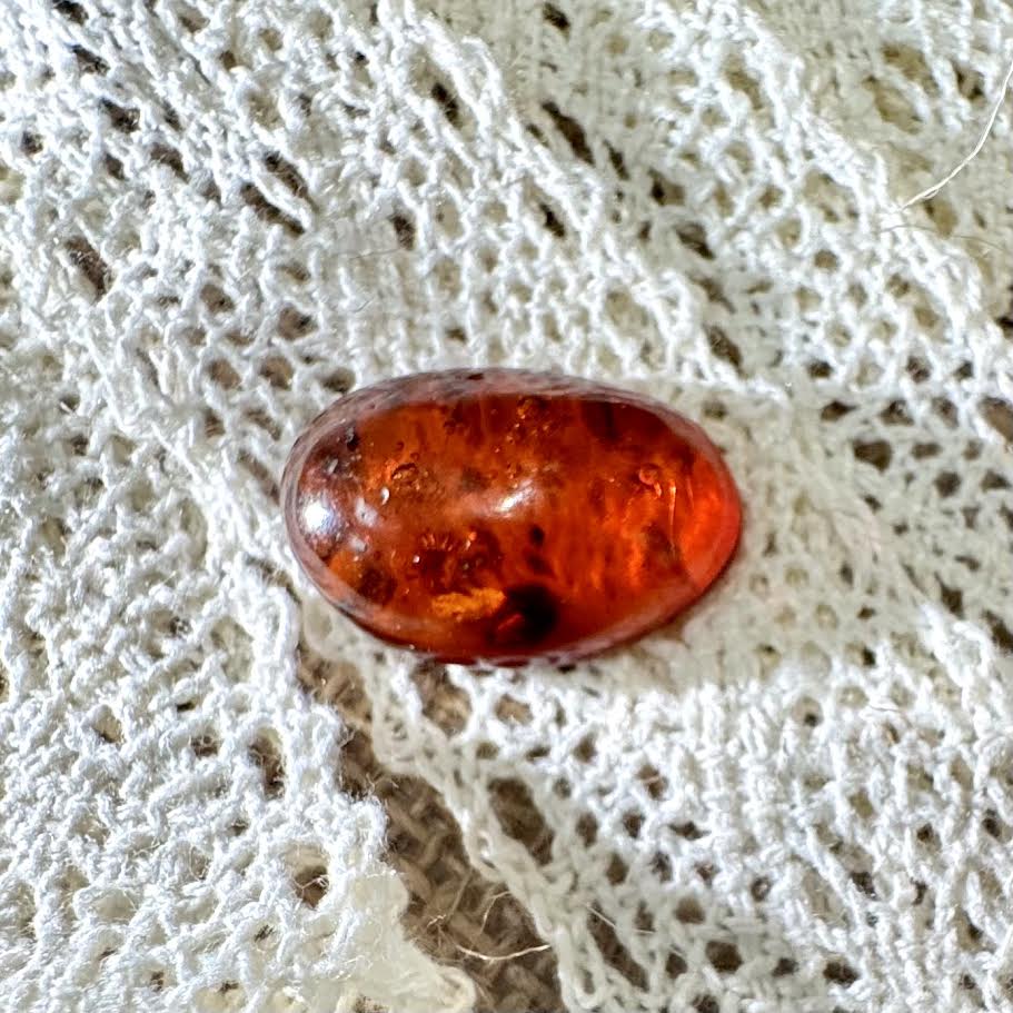 Amber with Inclusions