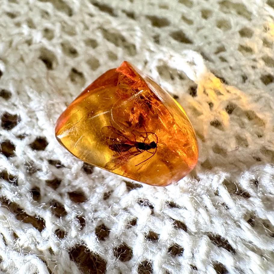 Amber with Inclusions