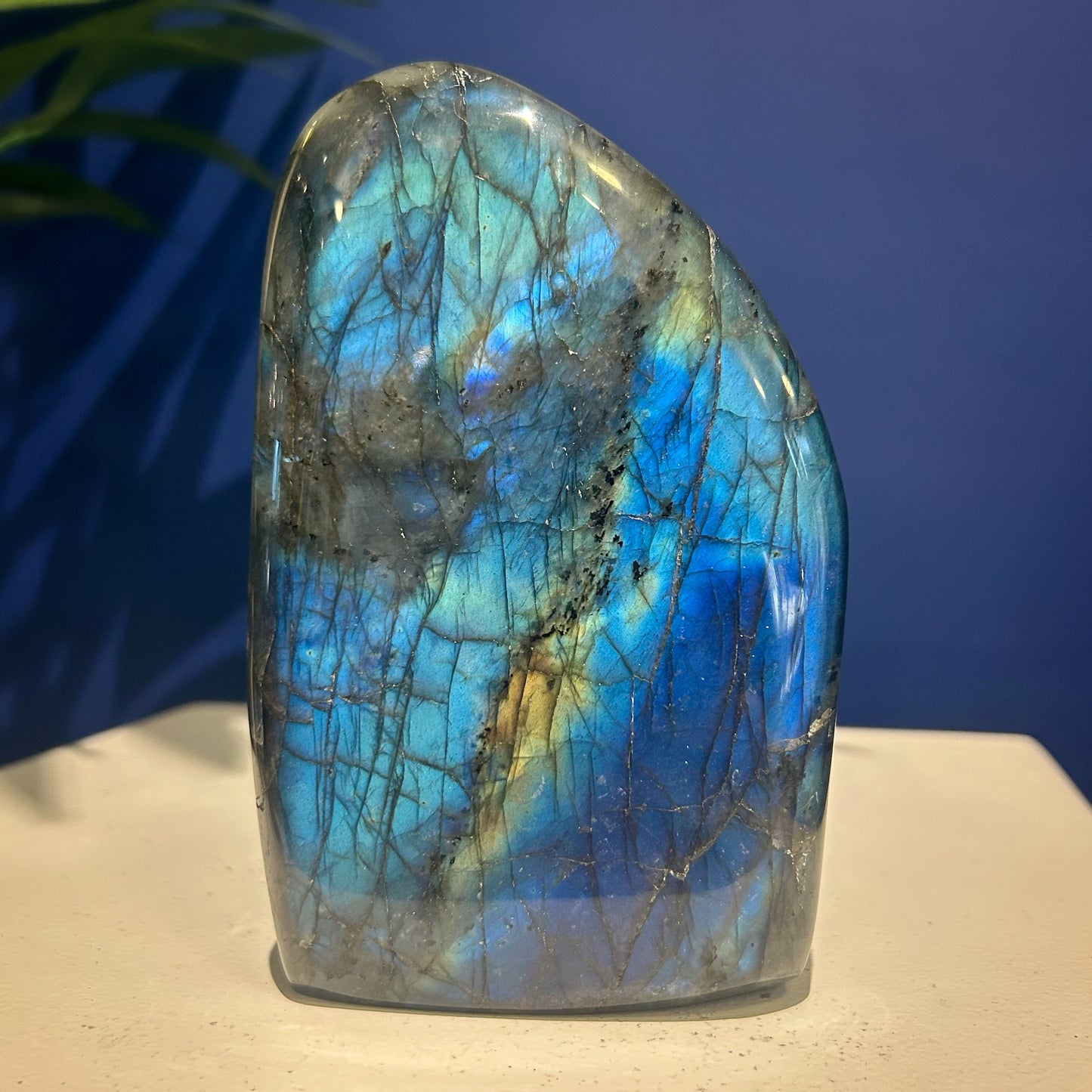 Small Labradorite Specimen