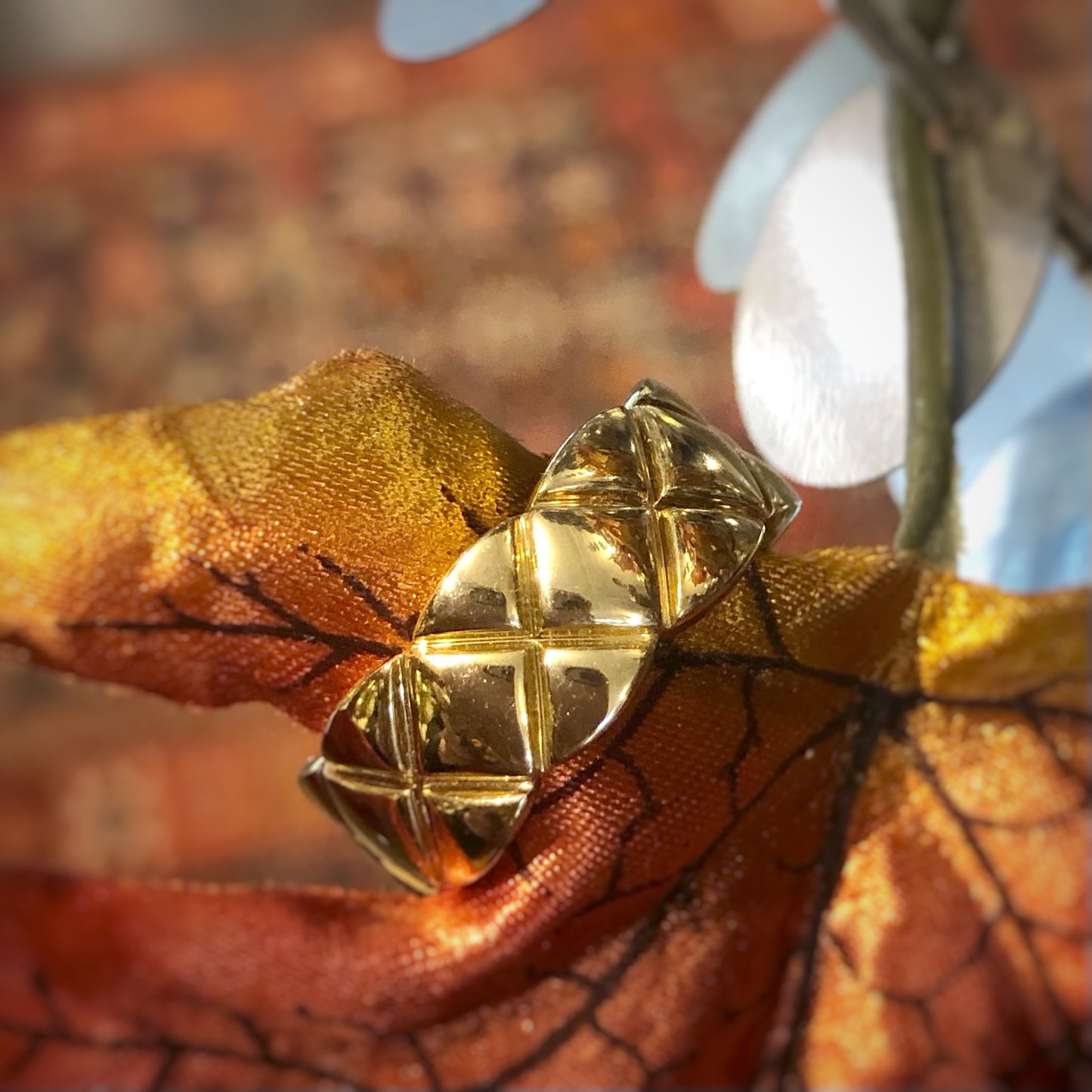 ring on surface
