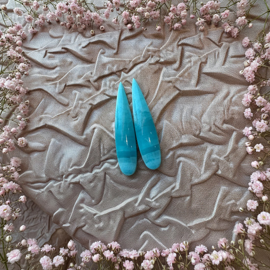 Long Pear Shape Opalized Petrified Wood Pair