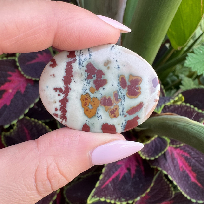 Picture Jasper with Red
