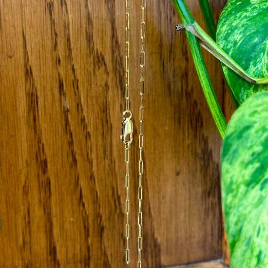 Elongated Paperclip Chain