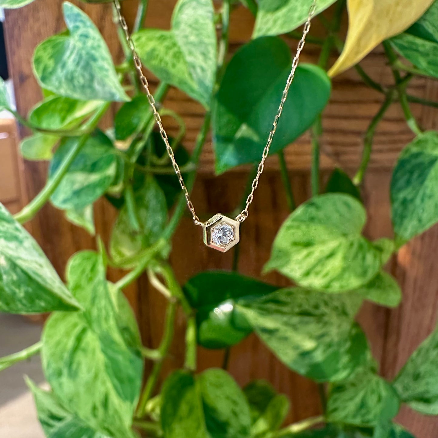 Petite Diamond Hexagon Necklace