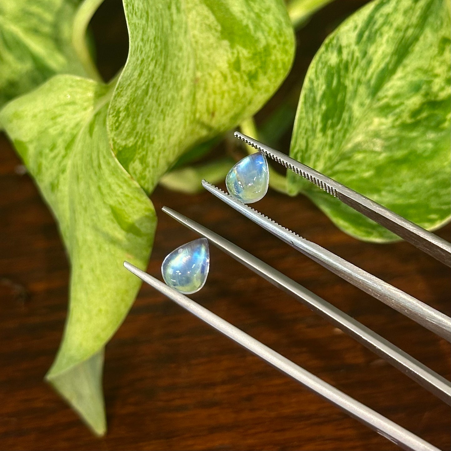 Cabochon Pear Moonstone Pair, 0.59ctw