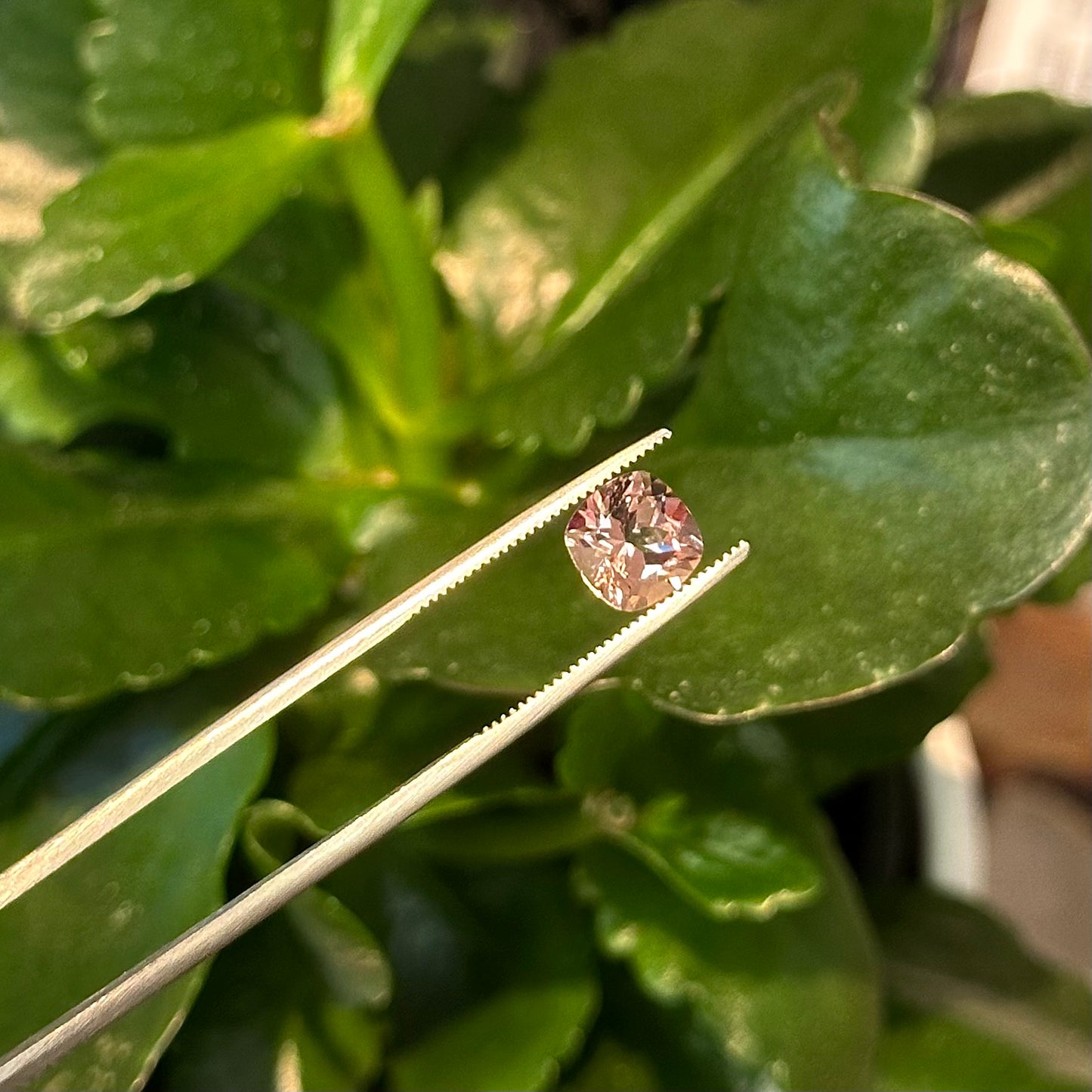 Morganite Cushion, 1.85ct