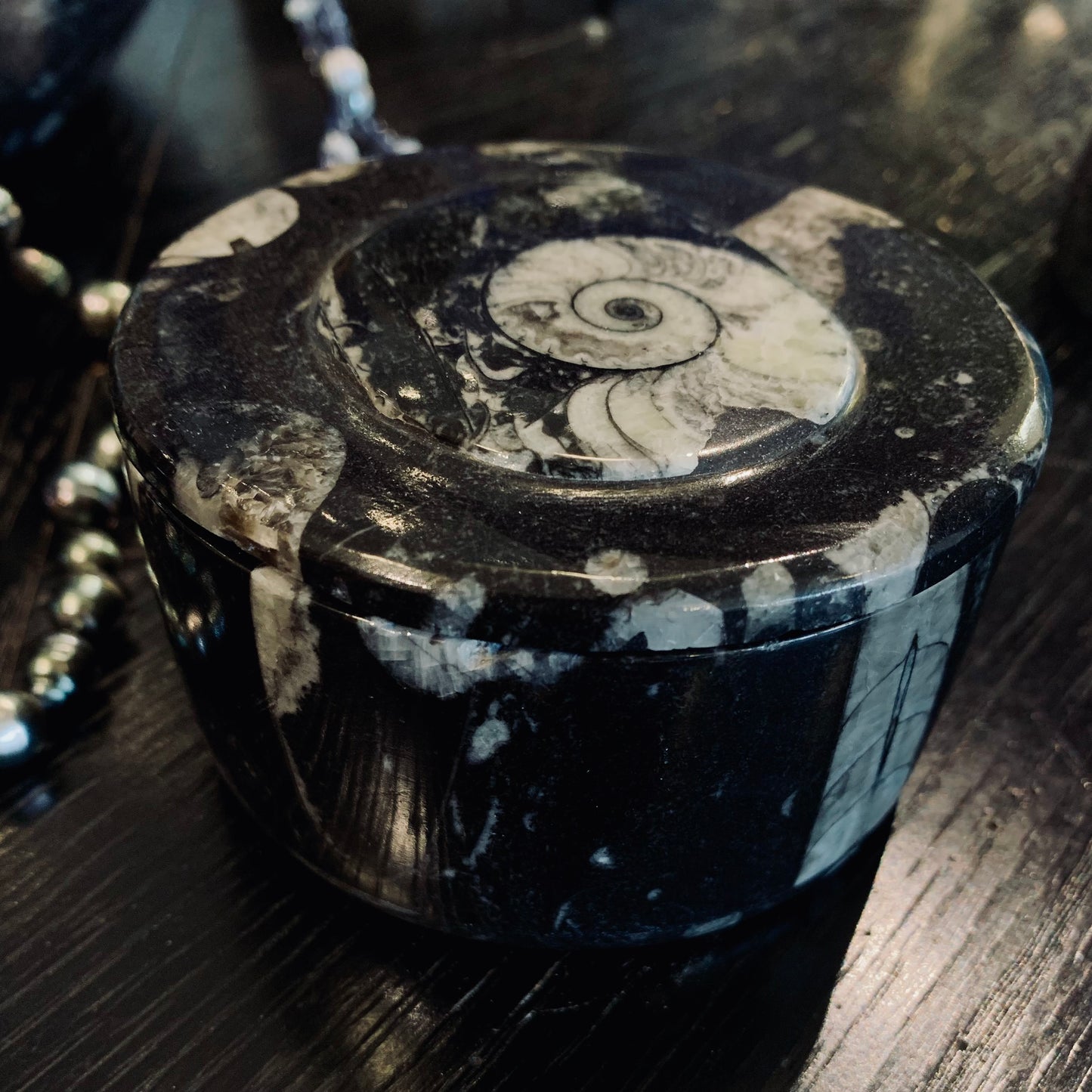 Orthoceras Round Box