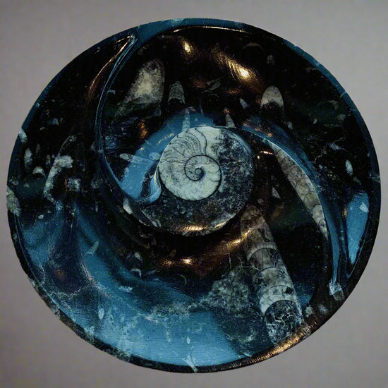Orthoceras Round Swirl Plate