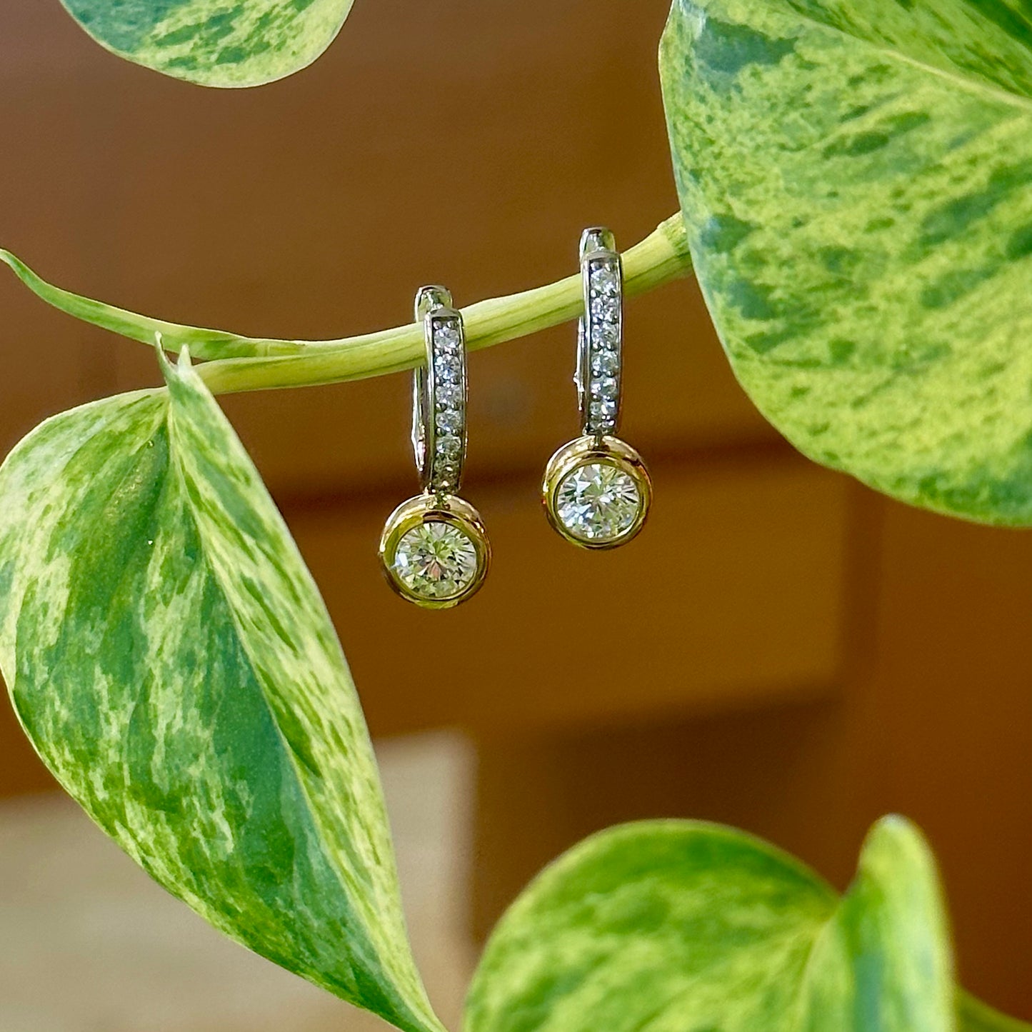 Two Tone Bezel CZ Hoops