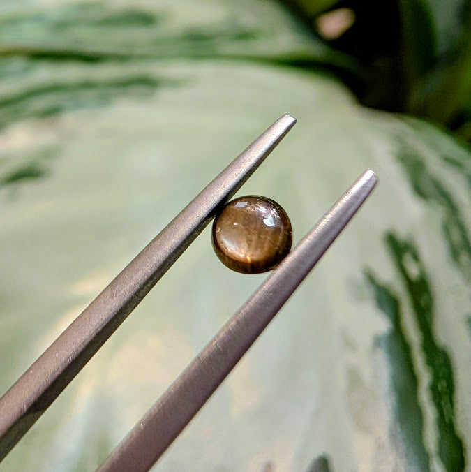 Black 'Star' Sapphire, 0.34cts