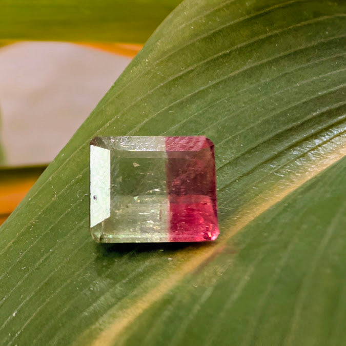 Bi-Color Tourmaline