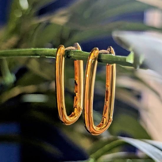 Xl Oval Hoops