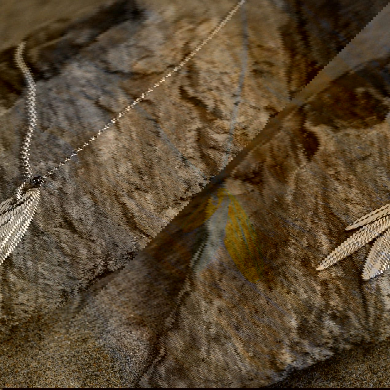 Photo of "Arizona" Pendant in a decorative scene, designed by , available at Plumb Gold & Plumb Silver