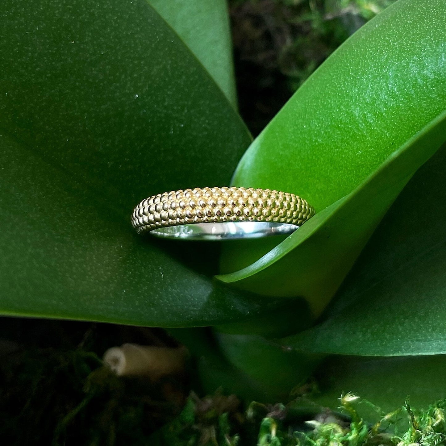 Photo of Beaded Band in a decorative scene, designed by , available at Plumb Gold & Plumb Silver