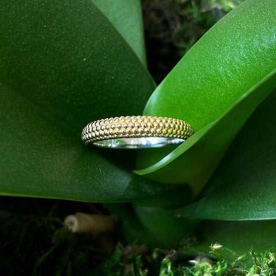 Photo of Beaded Band in a decorative scene, designed by , available at Plumb Gold & Plumb Silver
