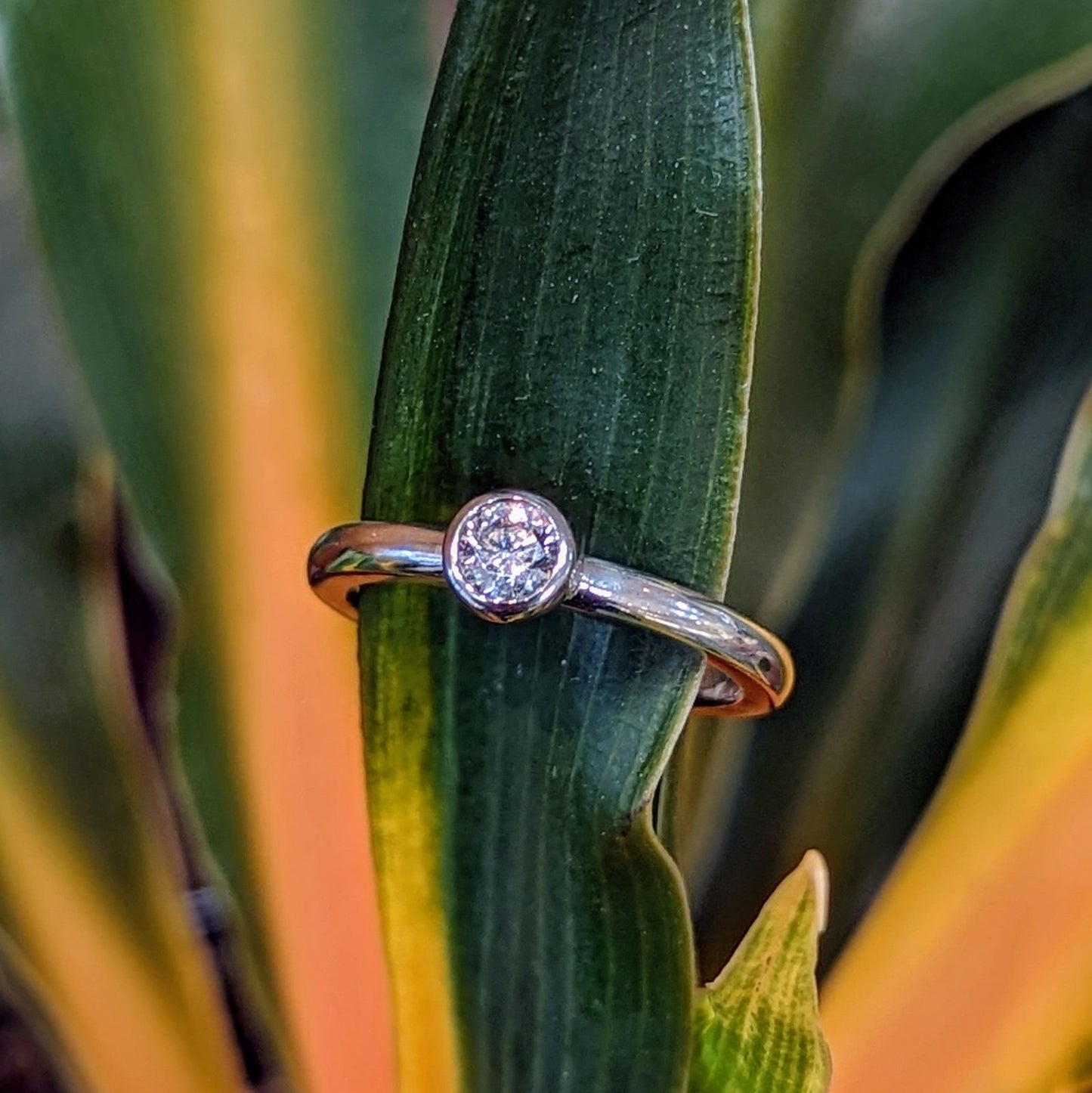 Photo of Bezel CZ Solitaire in a decorative scene, designed by , available at Plumb Gold & Plumb Silver