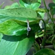 Photo of Bezel CZ Solitaire in a decorative scene, designed by , available at Plumb Gold & Plumb Silver