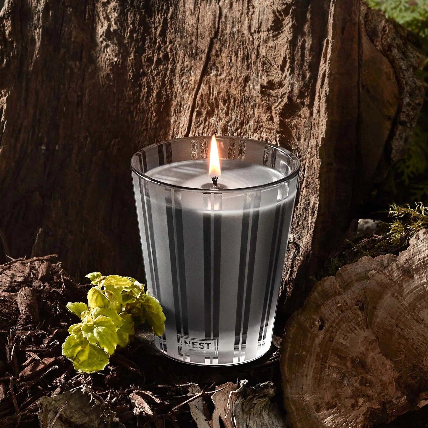 Photo of Charcoal Woods Candle in a decorative scene, designed by , available at Plumb Gold & Plumb Silver