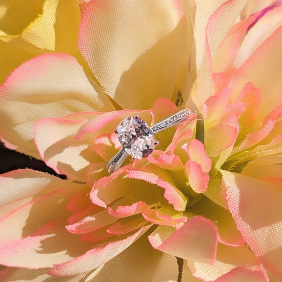 Photo of "Cher" Diamond Semi-Mount Engagement Ring in a decorative scene, designed by , available at Plumb Gold & Plumb Silver