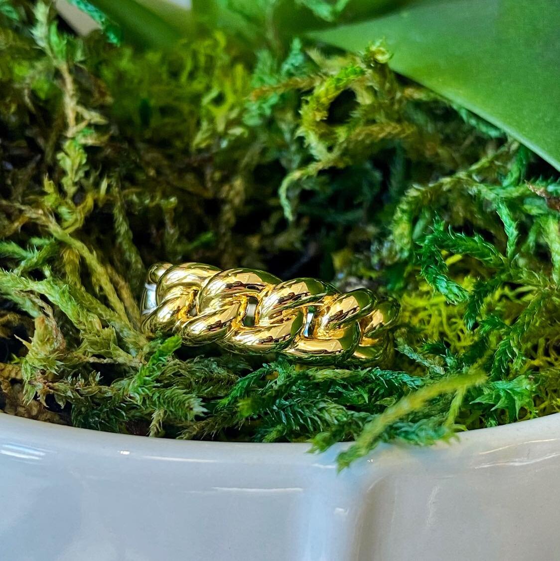 Photo of Curb Link Ring in a decorative scene, designed by , available at Plumb Gold & Plumb Silver