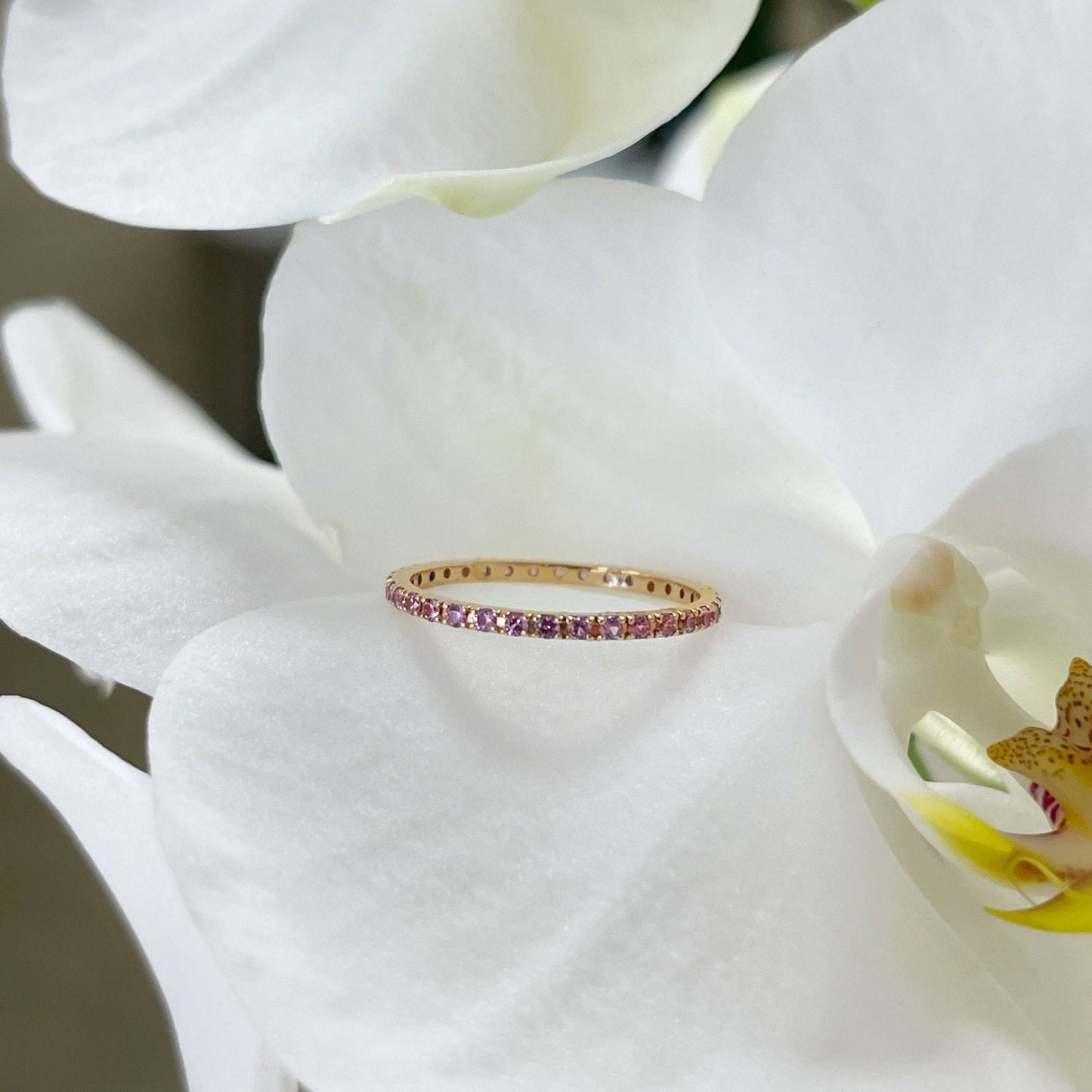 Photo of Gemstone Eternity Band in a decorative scene, designed by , available at Plumb Gold & Plumb Silver