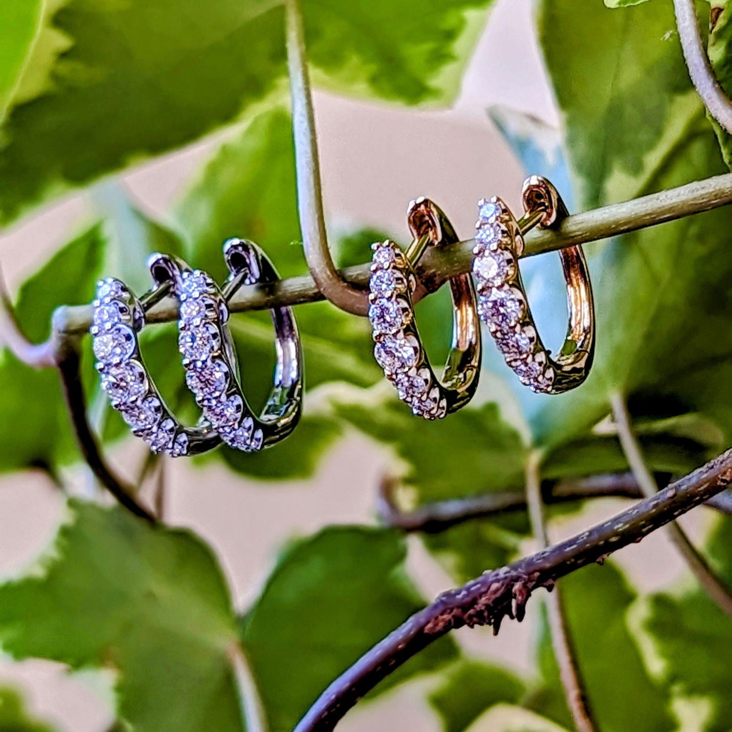 Photo of Graduated Diamond Huggie Hoops in a decorative scene, designed by , available at Plumb Gold & Plumb Silver
