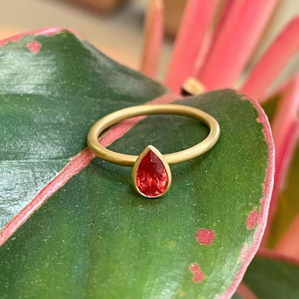Photo of Kim Collins Coral Spinel Ring in a decorative scene, designed by , available at Plumb Gold & Plumb Silver