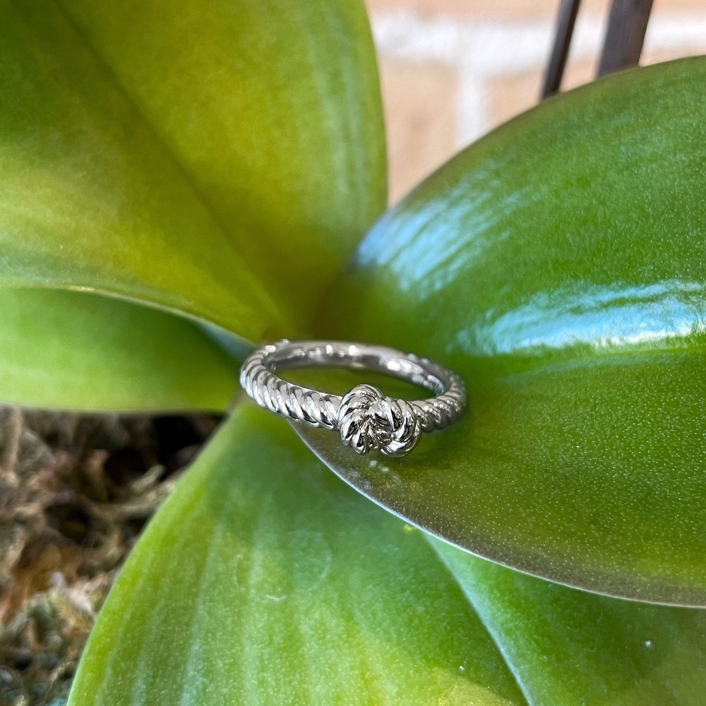 Photo of Nautical Knot Ring in a decorative scene, designed by , available at Plumb Gold & Plumb Silver