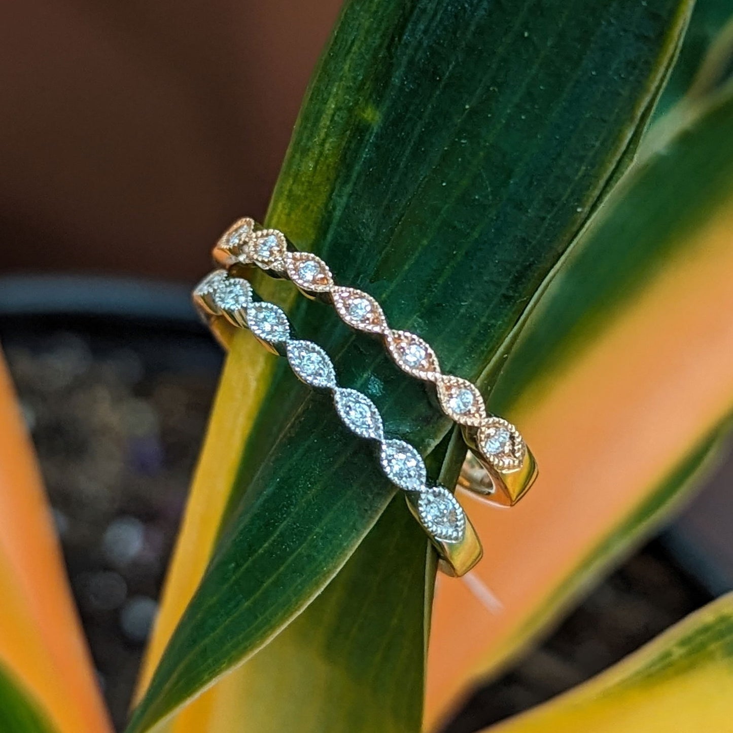 Photo of "Nichole" Band in a decorative scene, designed by , available at Plumb Gold & Plumb Silver
