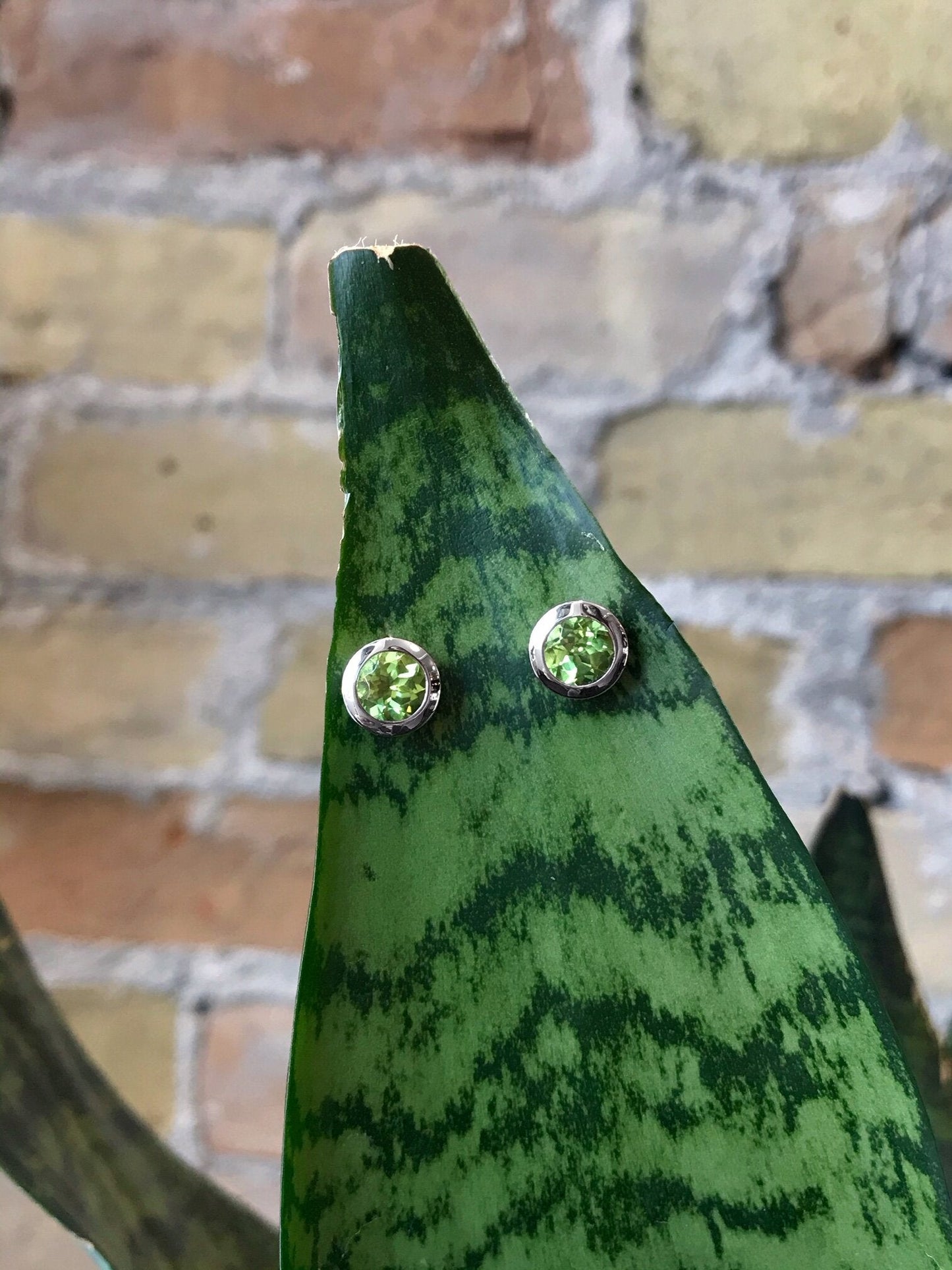 Photo of Peridot Bezel Studs in a decorative scene, designed by , available at Plumb Gold & Plumb Silver