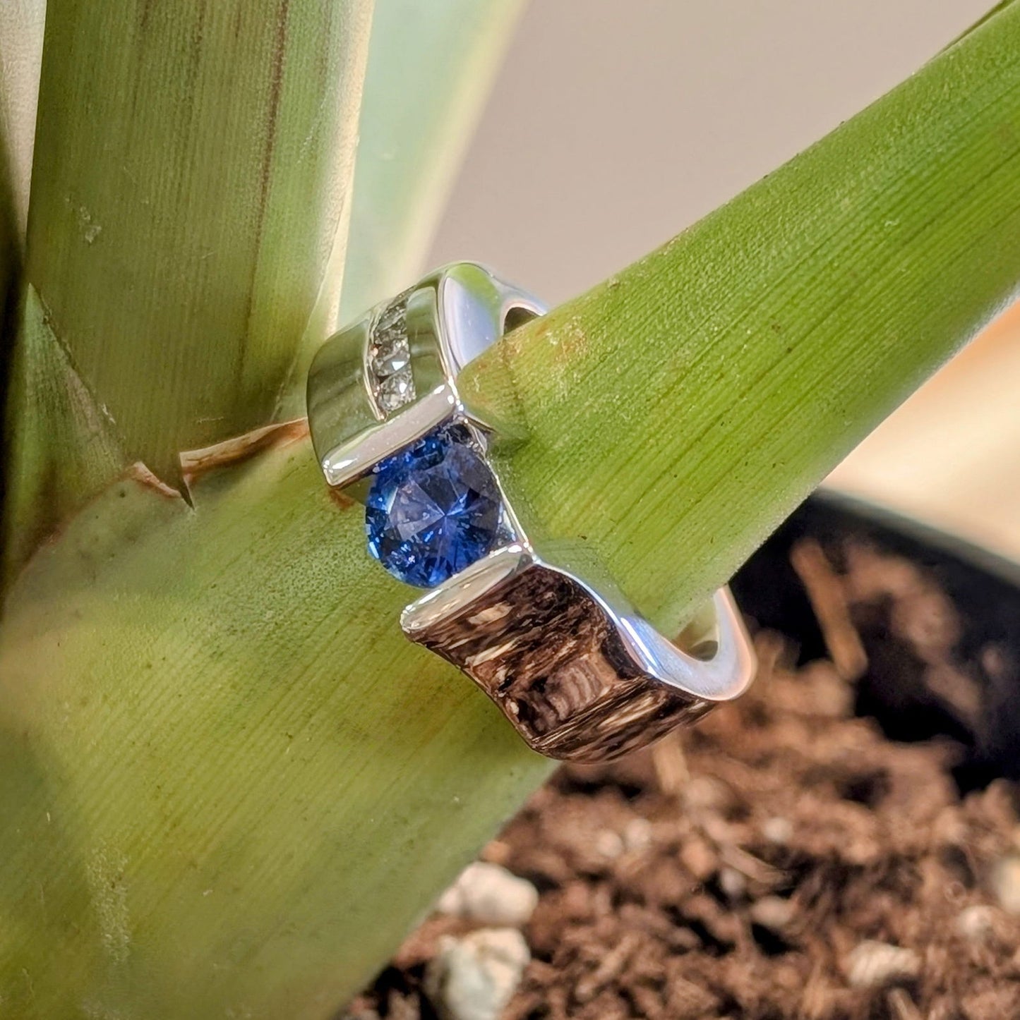 Photo of "Roxanne" Sapphire Ring in a decorative scene, designed by , available at Plumb Gold & Plumb Silver
