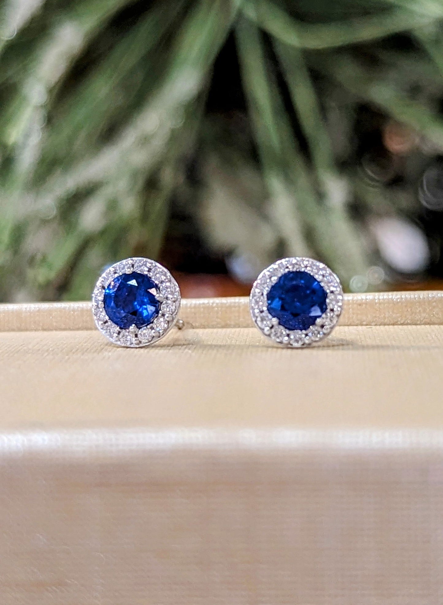 Photo of Sapphire Halo studs in a decorative scene, designed by , available at Plumb Gold & Plumb Silver