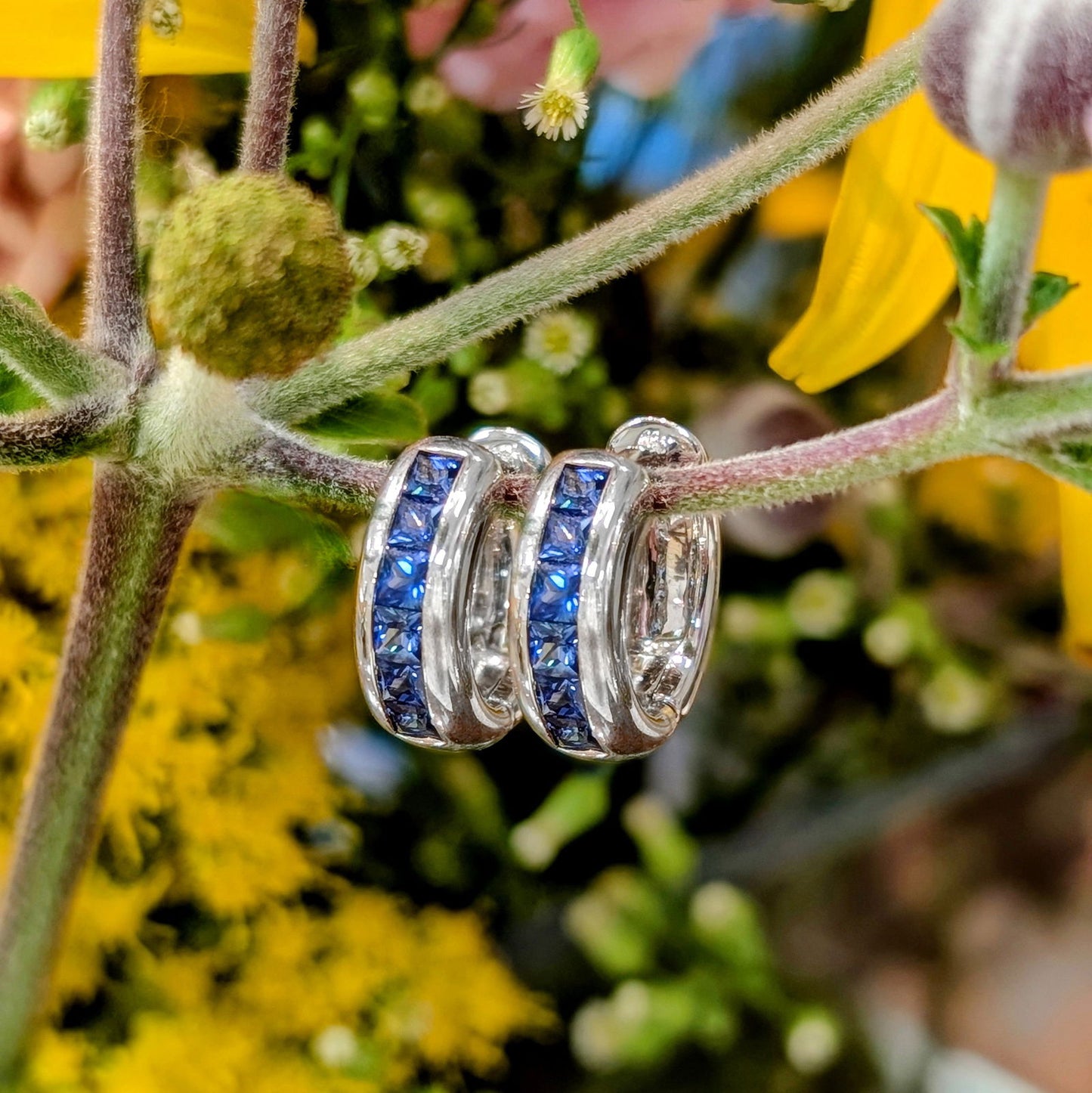 Photo of Sapphire Huggies in a decorative scene, designed by , available at Plumb Gold & Plumb Silver