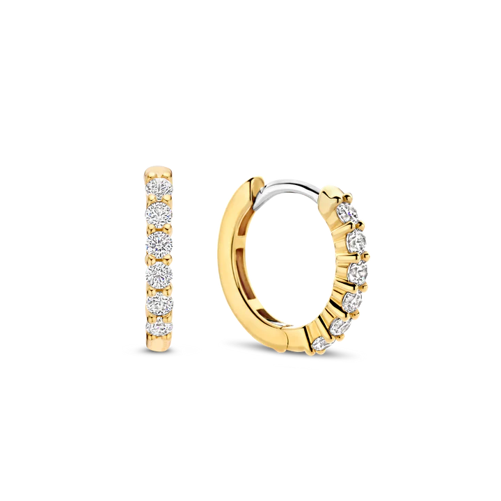 Photo of Small Pavé CZ Hoops in a decorative scene, designed by -, available at Plumb Gold & Plumb Silver