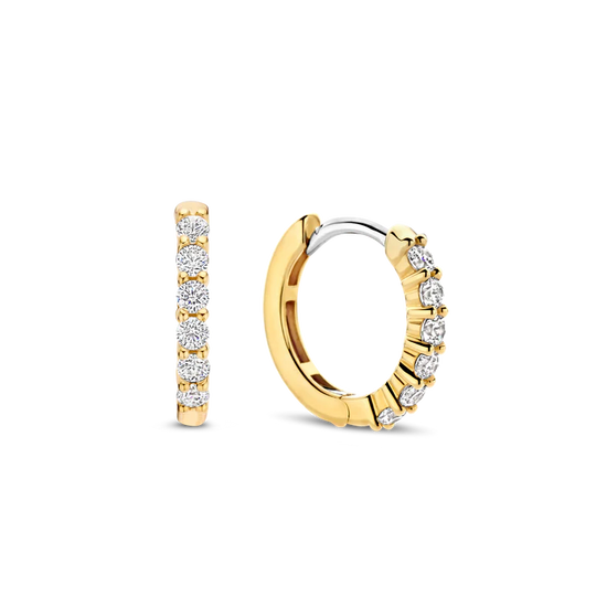 Photo of Small Pavé CZ Hoops in a decorative scene, designed by -, available at Plumb Gold & Plumb Silver