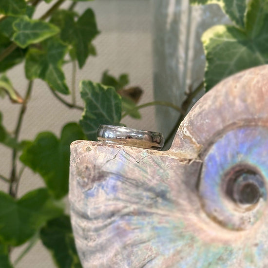 Photo of Titanium Convex Band in a decorative scene, designed by , available at Plumb Gold & Plumb Silver