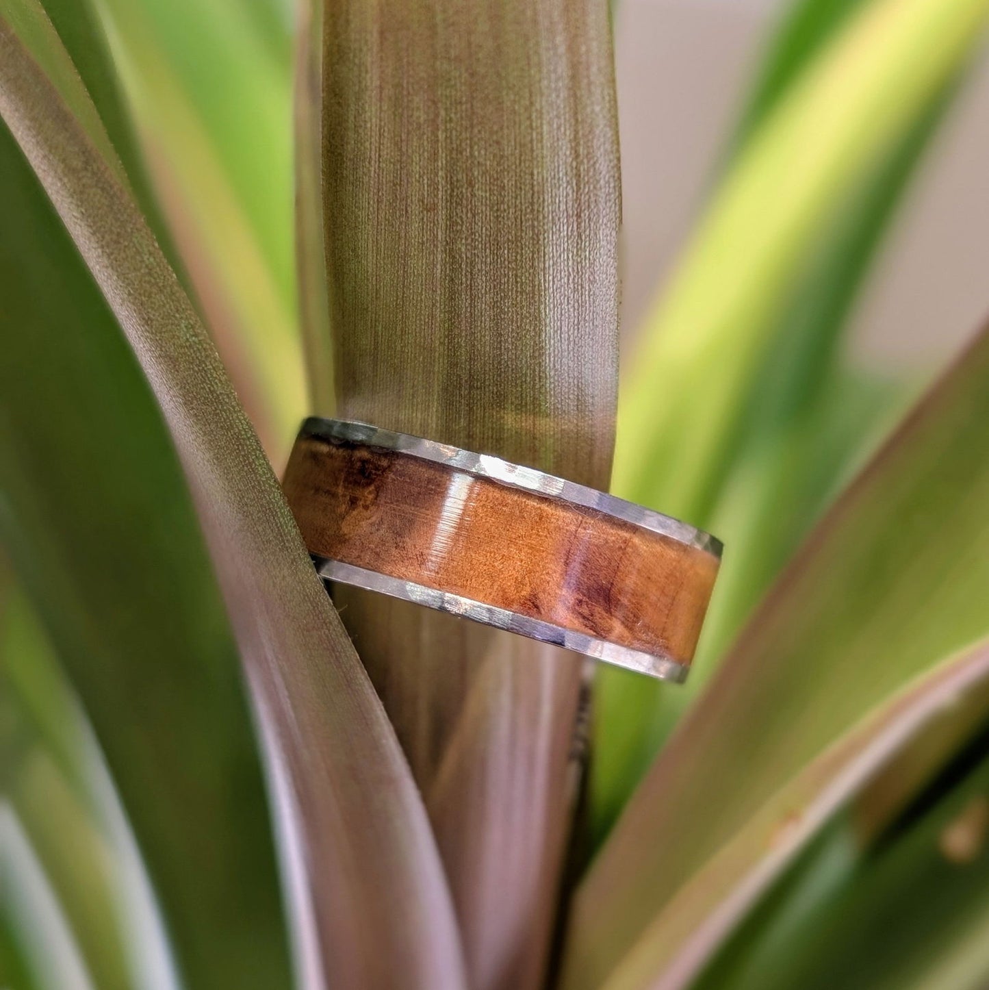Photo of Titanium Hardwood Band in a decorative scene, designed by -, available at Plumb Gold & Plumb Silver