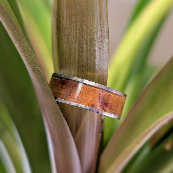 Photo of Titanium Hardwood Band in a decorative scene, designed by -, available at Plumb Gold & Plumb Silver