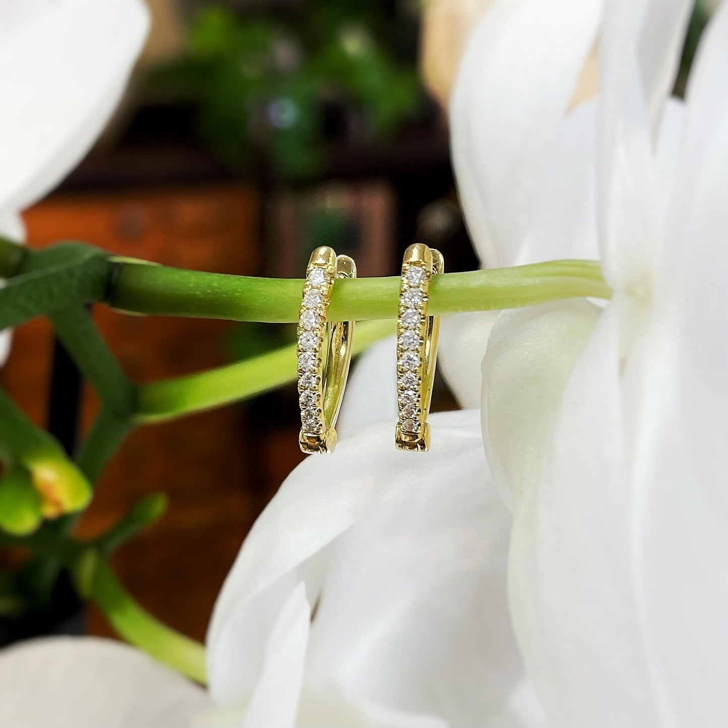Photo of Zeghani Marquis Huggies in a decorative scene, designed by , available at Plumb Gold & Plumb Silver