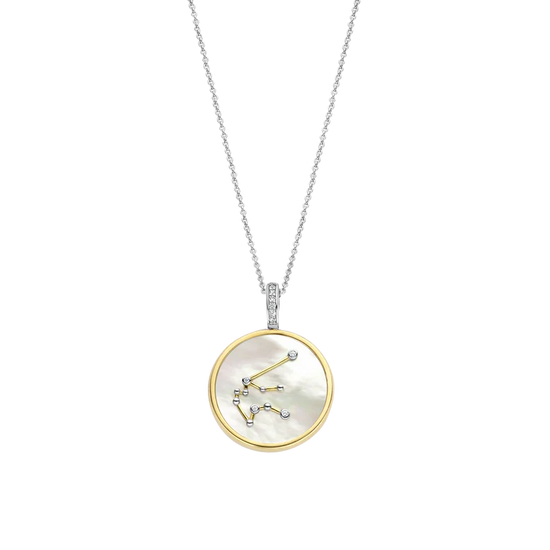 Photo of Zodiac Pendant in a decorative scene, designed by , available at Plumb Gold & Plumb Silver