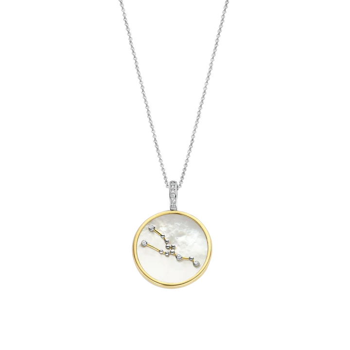 Photo of Zodiac Pendant in a decorative scene, designed by , available at Plumb Gold & Plumb Silver