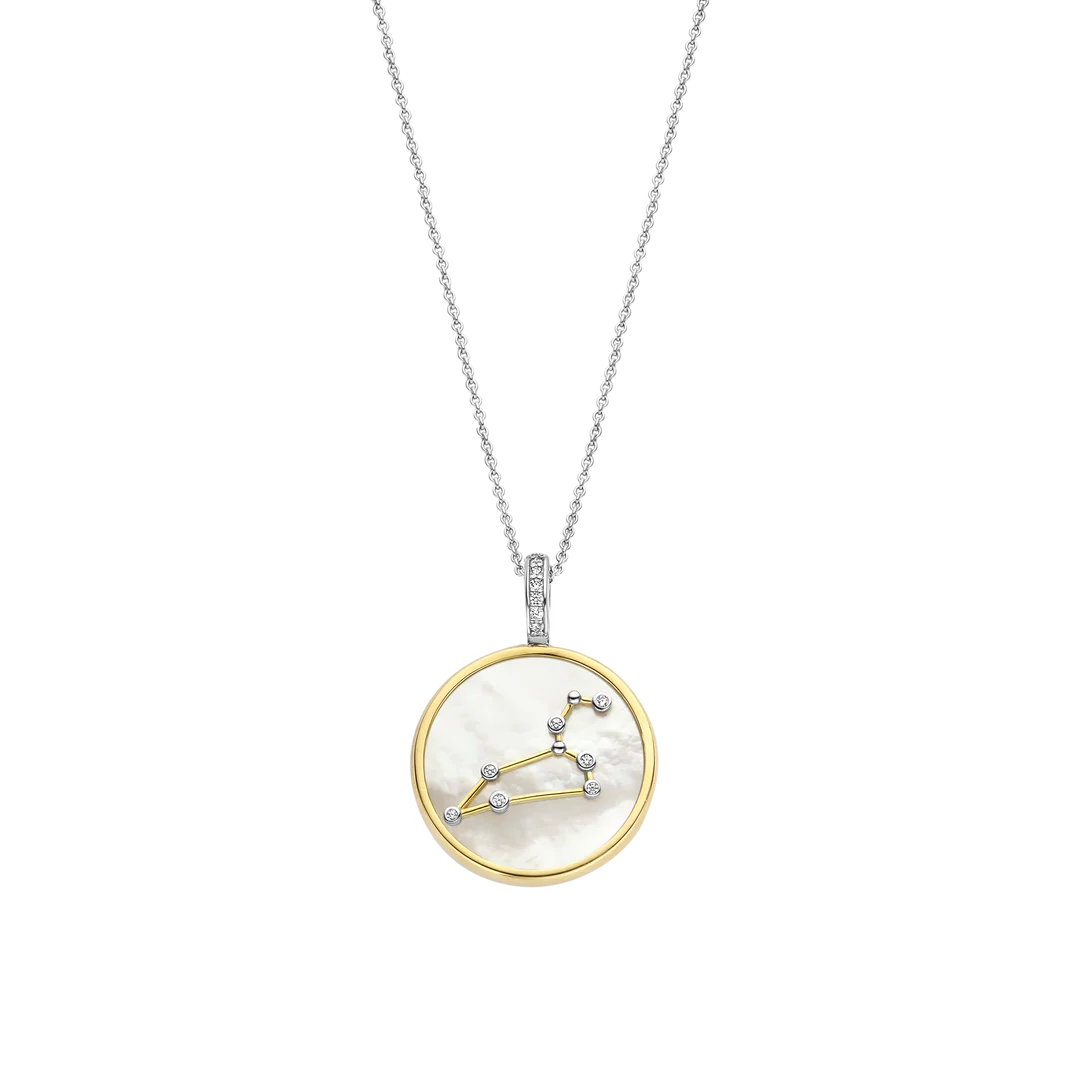 Photo of Zodiac Pendant in a decorative scene, designed by , available at Plumb Gold & Plumb Silver