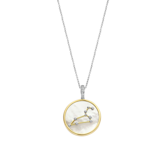 Photo of Zodiac Pendant in a decorative scene, designed by , available at Plumb Gold & Plumb Silver