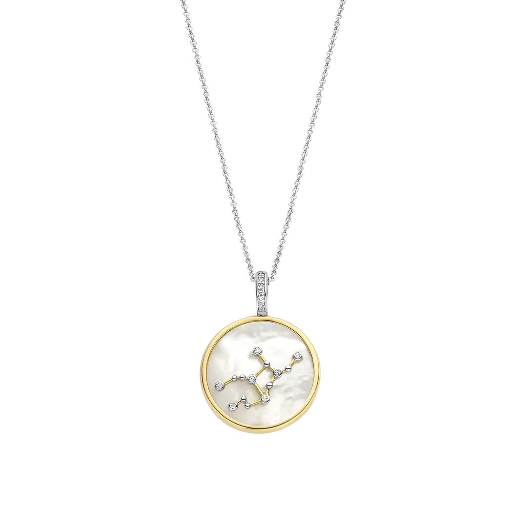 Photo of Zodiac Pendant in a decorative scene, designed by , available at Plumb Gold & Plumb Silver