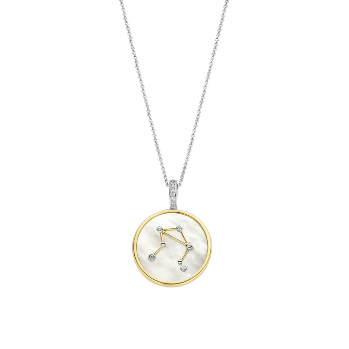 Photo of Zodiac Pendant in a decorative scene, designed by , available at Plumb Gold & Plumb Silver