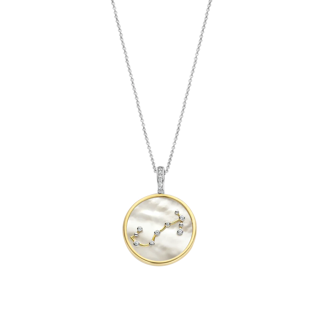 Photo of Zodiac Pendant in a decorative scene, designed by , available at Plumb Gold & Plumb Silver
