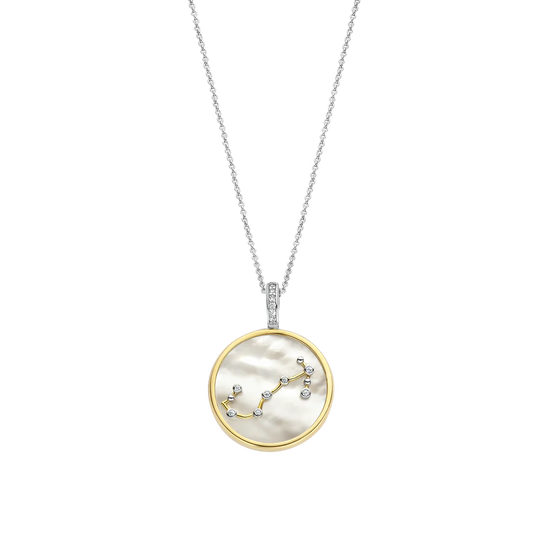 Photo of Zodiac Pendant in a decorative scene, designed by , available at Plumb Gold & Plumb Silver