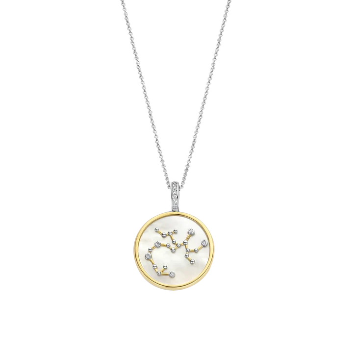 Photo of Zodiac Pendant in a decorative scene, designed by , available at Plumb Gold & Plumb Silver